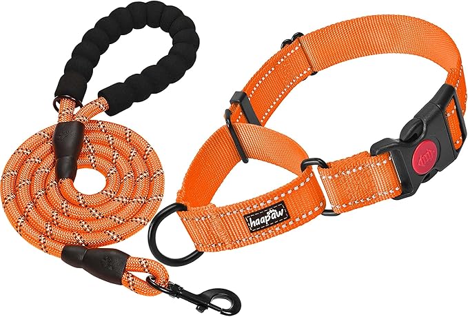 haapaw 2 Packs Martingale Dog Collar with Quick Release Buckle Reflective Dog Training Collars for Small Medium Large Dogs (Collar+Leash, S Neck 12"-13", Orange, 1+1 Packs) haapaw