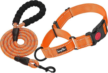 haapaw 2 Packs Martingale Dog Collar with Quick Release Buckle Reflective Dog Training Collars for Small Medium Large Dogs (Collar+Leash, S Neck 12"-13", Orange, 1+1 Packs) haapaw
