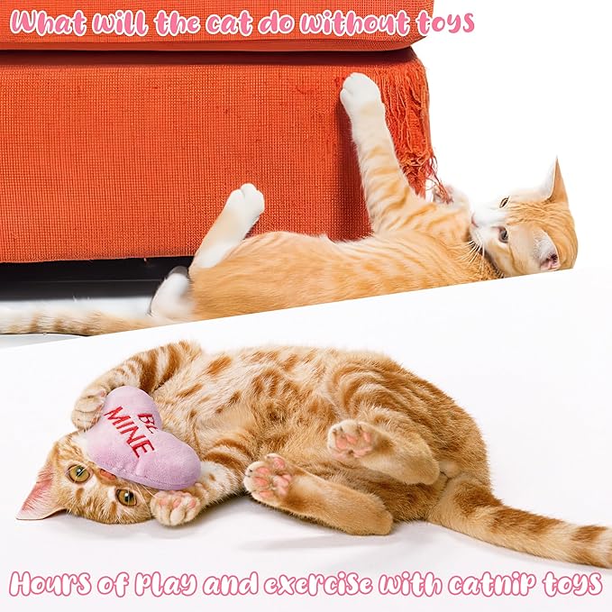 MALLMALL6 5Pcs Valentine’s Day Conversation Heart Catnip Toys Gift for Cat, Indoor Cat Chew Bite Kick Plush Candy Catmint Pet Toys for Cat Lover Gifts, Cute Interactive Cat Toy with for Pet Presents - PAWPICO