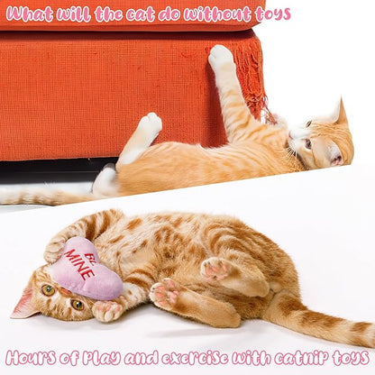 MALLMALL6 5Pcs Valentine’s Day Conversation Heart Catnip Toys Gift for Cat, Indoor Cat Chew Bite Kick Plush Candy Catmint Pet Toys for Cat Lover Gifts, Cute Interactive Cat Toy with for Pet Presents - PAWPICO
