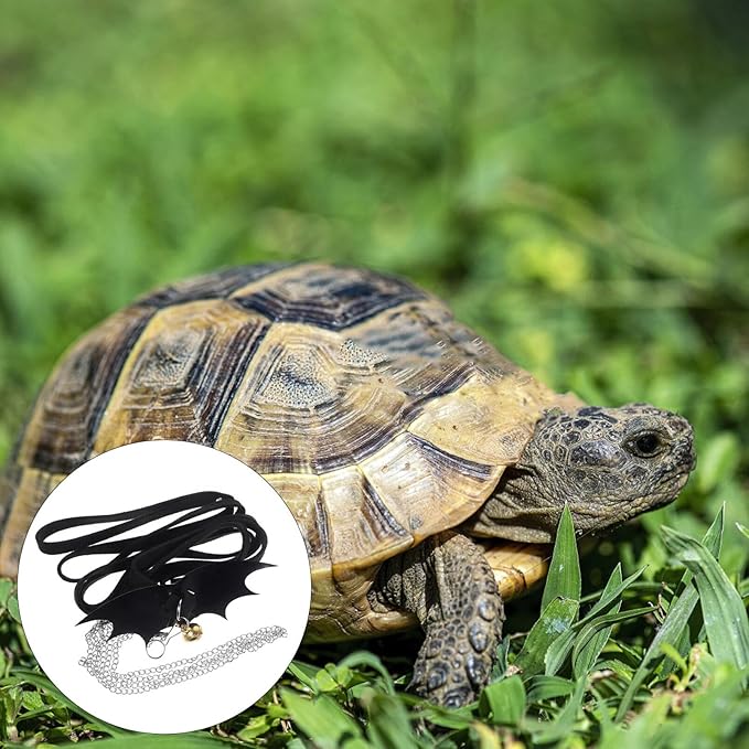 POPETPOP Turtle Harness and Leash with Wings : Adjustable Tortoise Harness Strap Collar Leash Control Rope for Turtle(Black, Size S) POPETPOP