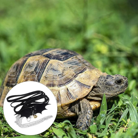 POPETPOP Turtle Harness and Leash with Wings : Adjustable Tortoise Harness Strap Collar Leash Control Rope for Turtle(Black, Size S) POPETPOP