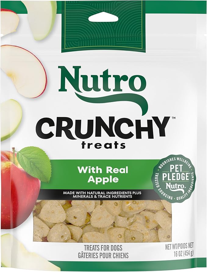 NUTRO Crunchy Dog Treats with Real Apple, 16 oz. Bag - PAWPICO
