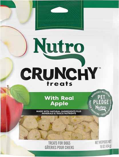 NUTRO Crunchy Dog Treats with Real Apple, 16 oz. Bag - PAWPICO