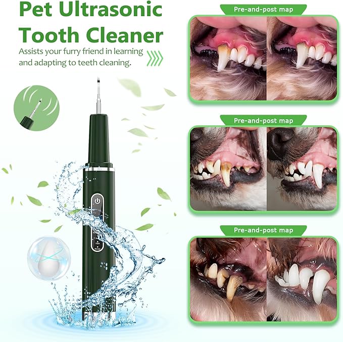 Dog Plaque Remover for Teeth - Pet Ultrasonic Tooth Cleaner, 6 Adjustable Modes Dog Teeth Cldaning Kit with LED Light, Cats and Dogs Tartar Remover for Teeth (Green, Large) PAWPICO