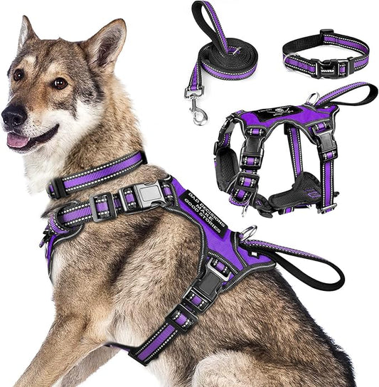 WINSEE Pet Harness Collar and Leash Set, All-in-one Reflective Dog Harness No Pull with Adjustable Buckles for Puppies, Small, Medium, Large, and Extra-Large Dogs (X-Large, Purple) WINSEE