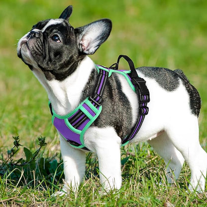 Eagloo Dog Harness for Large Dogs, No Pull Service Vest with Reflective Strips and Control Handle, Adjustable and Comfortable for Easy Walking, No Choke Harness with 2 Metal Rings, Purple & Green, S GoExplorewithEagloo