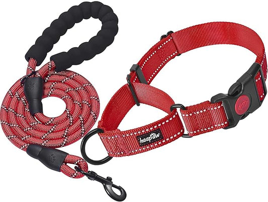 haapaw 2 Packs Martingale Dog Collar with Quick Release Buckle Reflective Dog Training Collars for Small Medium Large Dogs haapaw