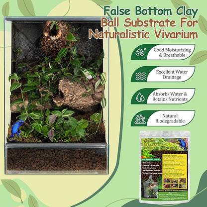 Riare 4LBS Expanded Clay Balls Terrarium Substrate for Reptiles - 100% Organic Lightweight Clay Pebbles Substrate Frogs False Bottom Substrate, Bioactive Terrarium Substrate for Drainage and Moisture Riare