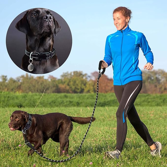Reflective Dog Collar Padded with Soft Neoprene Breathable Adjustable Nylon Dog Collars for Small Medium Large Dogs (X-Small (Pack of 1), Black Collar+Leash) ladoogo
