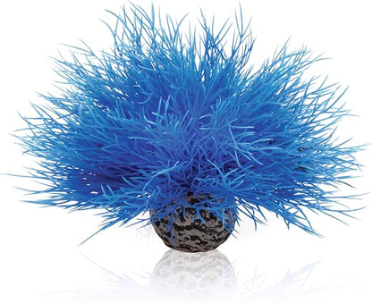 Sea Lily Blue biOrb