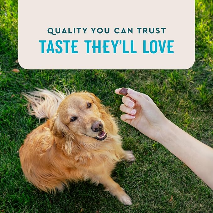 VetIQ Advanced Hip & Joint Chews For Dogs, 60 Count, Chicken Flavored Supplements Made with Glucosamine, Omega 3’s, Chondroitin, MSM, and Green Lipped Mussel, Increases Mobility and Maintains Muscles VetIQHealthSupplements