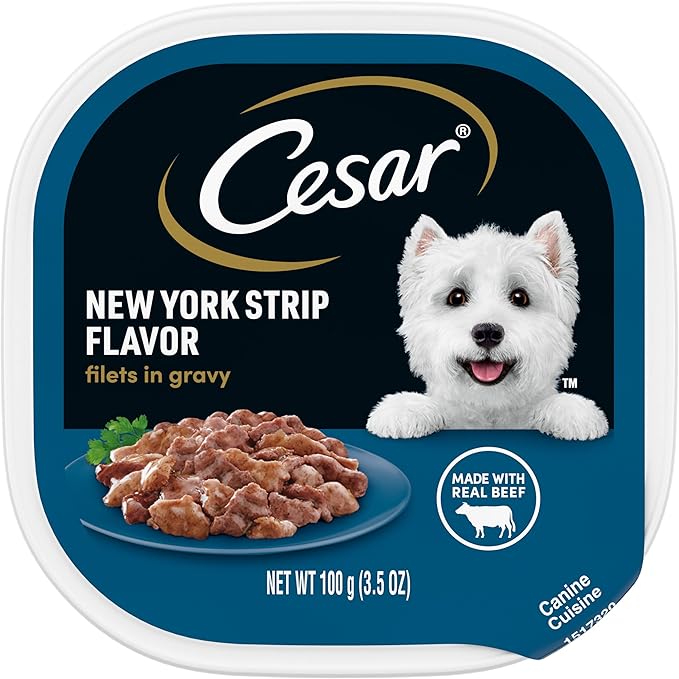 CESAR Adult Wet Dog Food Filets in Gravy New York Strip Flavor, 3.5 oz. Easy Peel Trays, Pack of 24 - PAWPICO