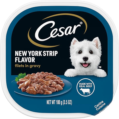 CESAR Adult Wet Dog Food Filets in Gravy New York Strip Flavor, 3.5 oz. Easy Peel Trays, Pack of 24 - PAWPICO