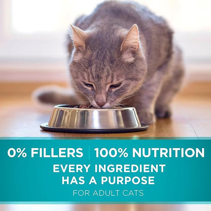 Purina ONE Natural Dry Cat Food, Tender Selects Blend With Real Salmon - 16 lb. Bag - PAWPICO