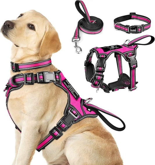 WINSEE Pet Harness Collar and Leash Set, All-in-one Reflective Dog Harness No Pull with Adjustable Buckles for Puppies, Small, Medium, Large, and Extra-Large Dogs (Large, Rosy) WINSEE