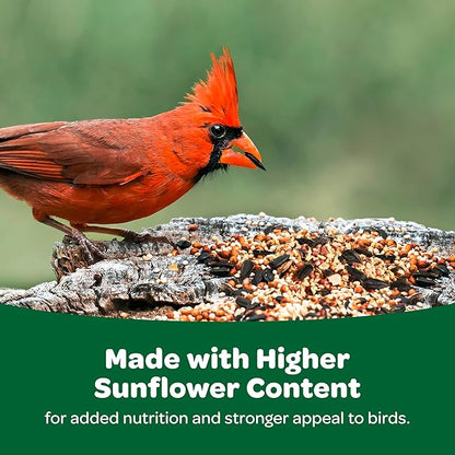 Kaytee Wild Bird Basic Seed, 20lbs (2 Packs of 10lbs) Kaytee