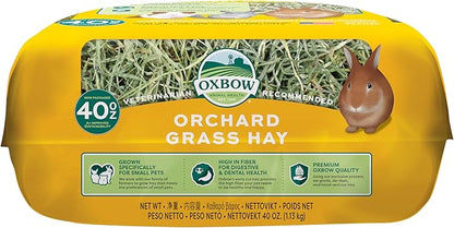 Oxbow Animal Health Orchard Grass Hay - All Natural Grass Hay for Chinchillas, Rabbits, Guinea Pigs, Hamsters, Gerbils & Other Small Pets - Grown in the USA- Fiber Rich- 40 oz. OxbowAnimalHealth