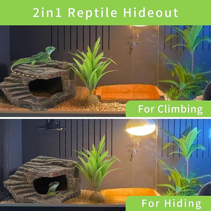 Reptile Hides Hideout Habitat, Reptile Caves for Bearded Dragons, Leopard Geckos, Lizards, Turtles, Snakes, Frogs (Extra Large-B) PAWPICO