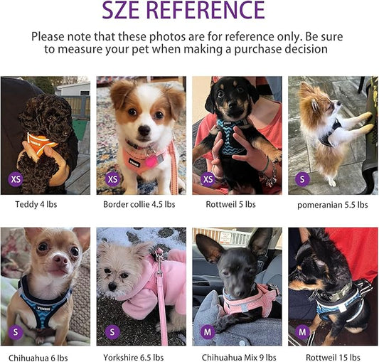 Dog Harness for Small Dogs, Small Dog Harness and Leash Set, Honeycomb Grid, Reflective Lightweight Harness & Anti-Twist Pet Lead,Dog Harness(Multi Color, Size: XS-S-M) (S, Purple) PAWPICO
