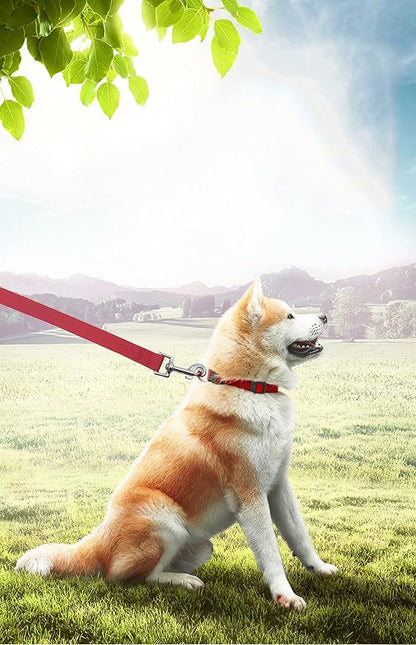 15ft 20ft 30ft 40ft 50ft Long Dog/Puppy Lead Obedience Recall Training Dog Leashes for Small Medium Dogs Camping, Training, Play, or Backyard (15 FT, Red) PETGOGO