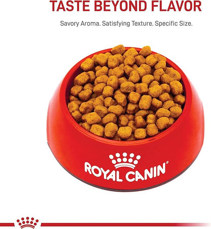 Royal Canin Shih Tzu Adult Breed Specific Dry Dog Food, 10 lb bag - PAWPICO