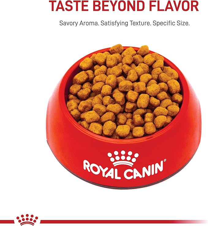Royal Canin Shih Tzu Adult Breed Specific Dry Dog Food, 2.5 lb bag - PAWPICO