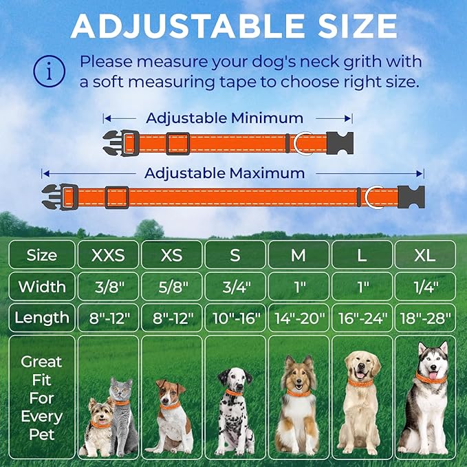 TECEUM Reflective Pet Collar – Orange – XXS – Basic Nylon Dog Collar – Quick Release Buckle – Fits Small, Medium and Large Dogs, Puppies, Cats – ESA & Service Dog Options TECEUM