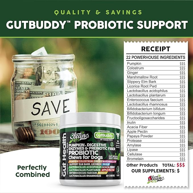 Probiotics for Dogs | Pumpkin Dog Probiotic Gut Health Diarrhea & Bowel Support | Colostrum, Digestive Enzymes, Ginger, Slippery Elm, Licorice, Inulin Fiber | Dog Supplement by Clean Pets - 1Pack CleanPets