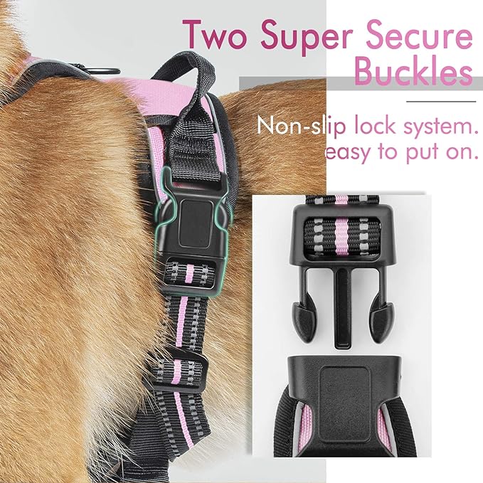 rabbitgoo Dog Harness, No-Pull Pet Harness with 2 Leash Clips, Adjustable Soft Padded Dog Vest, Reflective No-Choke Pet Oxford Vest with Easy Control Handle for Small Dogs, Pink, S - PAWPICO