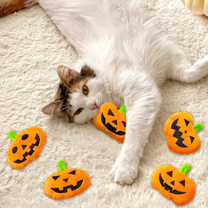 MALLMALL6 Catnip Toys for Cat - 5Pcs Halloween Pumpkin Jack O Lantern Catmint Interactive Cat Toy for Indoor Cats, Soft Plush Orange Cat Supplies, Kitten Teething Chew Toy Set, Pet Gifts for Cat Lover - PAWPICO