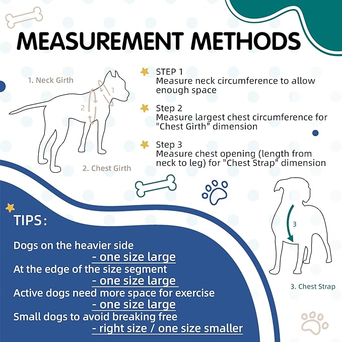 Tri-Color Dog Harness, Adjustable Step-in Design no Pull Dog Harness for Small Dogs, Heavy Duty Puppy Harness, Easy for Walking Dog Harness for Small Dogs, xs Dog Harness Green Blue White Pawhuggies