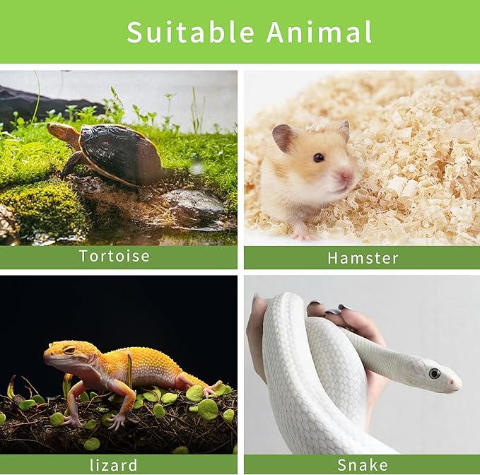 Reptile Hides Hideout Habitat, Reptile Caves for Bearded Dragons, Leopard Geckos, Lizards, Turtles, Snakes, Frogs (XX Large-A) PAWPICO