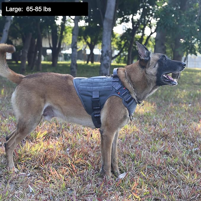 ICEFANG Tactical Dog Harness,Large Size, 2X Metal Buckle,Working Dog MOLLE Vest with Handle,No Pulling Front Leash Clip,Hook and Loop Panel - PAWPICO