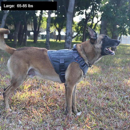 ICEFANG Tactical Dog Harness,Large Size, 2X Metal Buckle,Working Dog MOLLE Vest with Handle,No Pulling Front Leash Clip,Hook and Loop Panel - PAWPICO