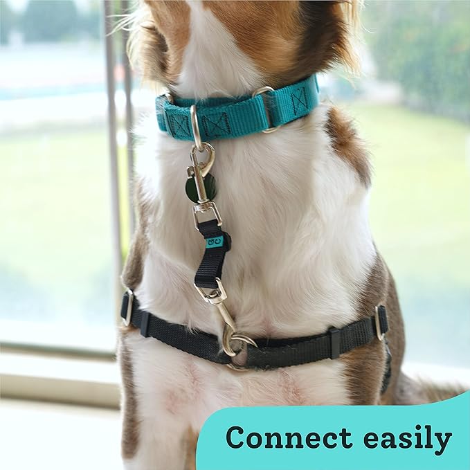Gentle Creatures Collar Companion - Adjustable Collar Backup Clip for Dog Harness, Prong, Pinch Collar, Gentle Lead - Double Ended Clasp - Safety Clip GentleCreatures