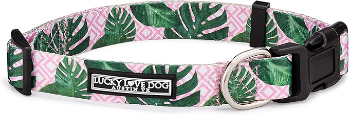 Lucky Love Dog, Tropical Dog Collar for Female Male Dogs, Comfortable & Soft, Vivid Pink Dog Collar - (Large, Laguna Collar) LuckyLoveDog