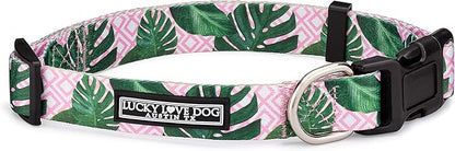 Lucky Love Dog, Tropical Dog Collar for Female Male Dogs, Comfortable & Soft, Vivid Pink Dog Collar - (Large, Laguna Collar) LuckyLoveDog