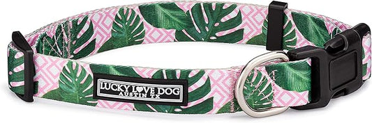 Lucky Love Dog, Tropical Dog Collar for Female Male Dogs, Comfortable & Soft, Vivid Pink Dog Collar - (Large, Laguna Collar) LuckyLoveDog