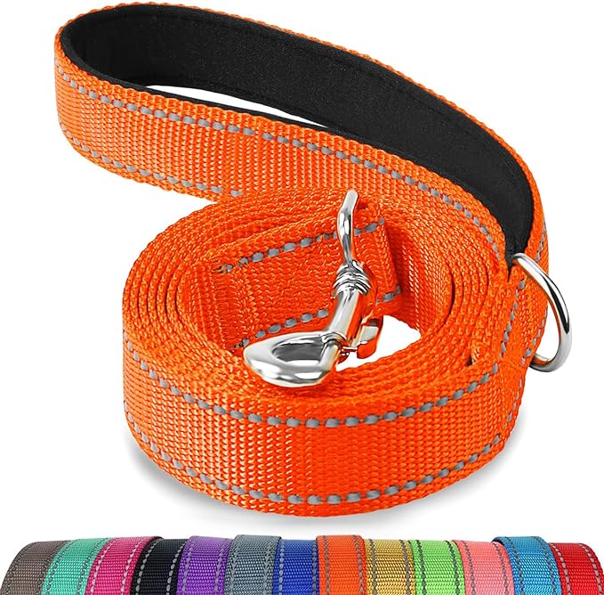 Joytale Double-Sided Reflective Dog Leash, 6 FT/5 FT/4 FT, Padded Handle Nylon Heavy Duty Leashes for Medium & Large Dogs Walking, Orange, 4FT Joytale