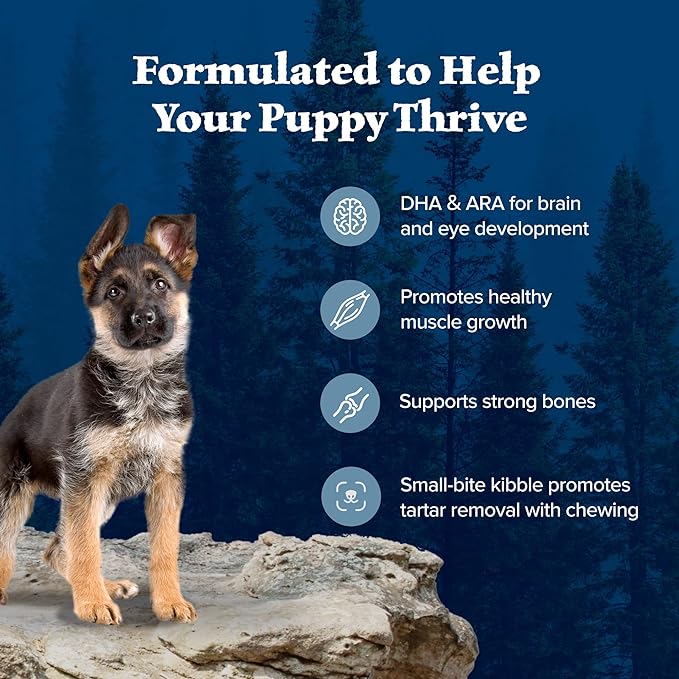 Blue Buffalo Wilderness Puppy High-Protein Dry Dog Food with Real Chicken, Grain-Free, Made in the USA with Natural Ingredients, Chicken, 24-lb Bag - PAWPICO