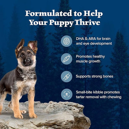 Blue Buffalo Wilderness Puppy High-Protein Dry Dog Food with Real Chicken, Grain-Free, Made in the USA with Natural Ingredients, Chicken, 4.5-lb Bag - PAWPICO