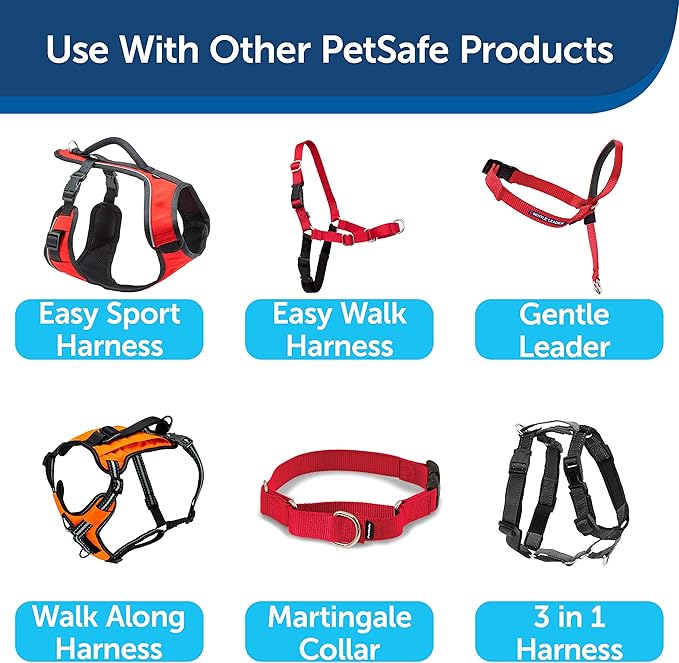 PetSafe Nylon Dog Leash – Strong, Durable, Traditional Style Leash with Easy to Use Bolt Snap – 1" x 4', Red - PAWPICO