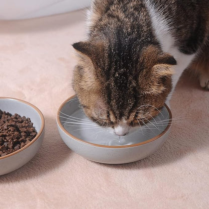 Ceramic Cat Bowls, Howise Cat Food Dish Gray, 5.3 in Shallow Pet Bowl 3 Pack Bowl Set for Kitten Cat Food Bowl and Water Bowl Small Dog Dish - PAWPICO