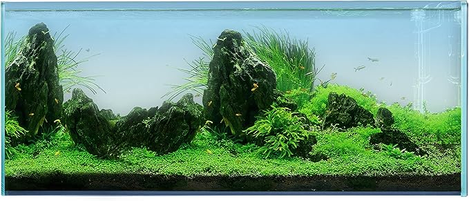 Landen 120P 72.2 Gallon Rimless Low Iron Aquarium Tank, W47.2 × D19.7 × H19.7 (120x50x50cm) 10mm Thickness with Black Nano Foam Leveling mat Included Landen