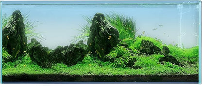 Landen 120P 72.2 Gallon Rimless Low Iron Aquarium Tank, W47.2 × D19.7 × H19.7 (120x50x50cm) 10mm Thickness with Black Nano Foam Leveling mat Included Landen