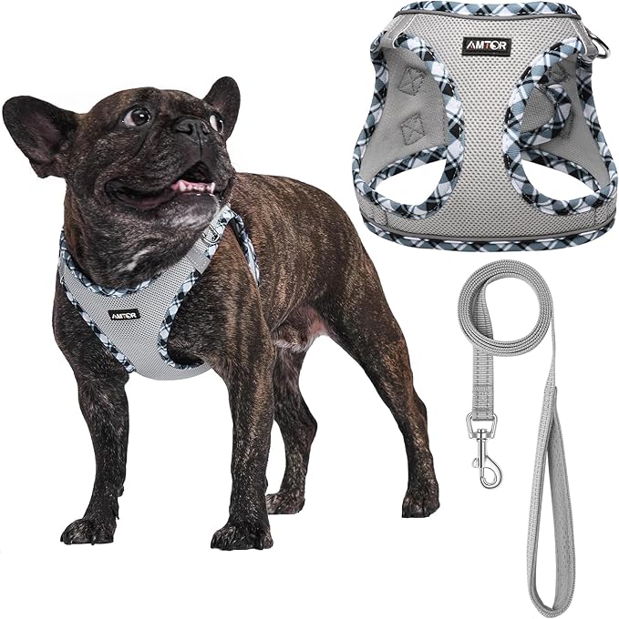 AMTOR Small Dog Harness with Leash Set, No Escape Easy Walk Puppy Harnesses for Training Walking, Step-in Reflective Soft Dogs Vest for XS S Medium Extra-Small Large Sized Dog(Grey) AMTOR