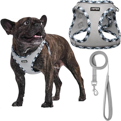 AMTOR Small Dog Harness with Leash Set, No Escape Easy Walk Puppy Harnesses for Training Walking, Step-in Reflective Soft Dogs Vest for XS S Medium Extra-Small Large Sized Dog(Grey) AMTOR