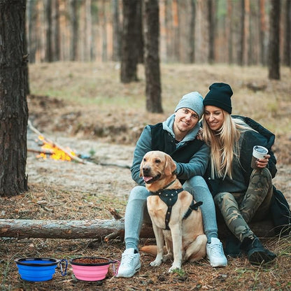 Dog Bowl Pet Collapsible Bowls, 2 Pack Collapsible Dog Water Bowls for Cats Dogs, Portable Pet Feeding Watering Dish for Walking Parking Traveling with 2 Carabiners (Small, Bule+Pink) - PAWPICO