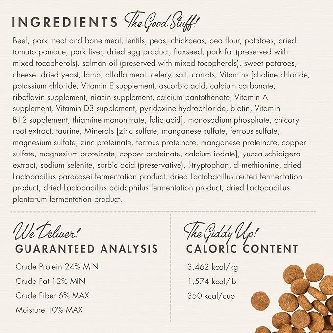 Fromm Heartland Gold Large Breed Adult Dog Food - Dry Dog Food for Large & Giant Breeds - Beef Recipe - 12 lb - PAWPICO